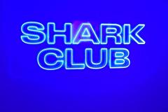 INSEGNA IN FLEXY NEON REALIZZATA PER SHOWROOM